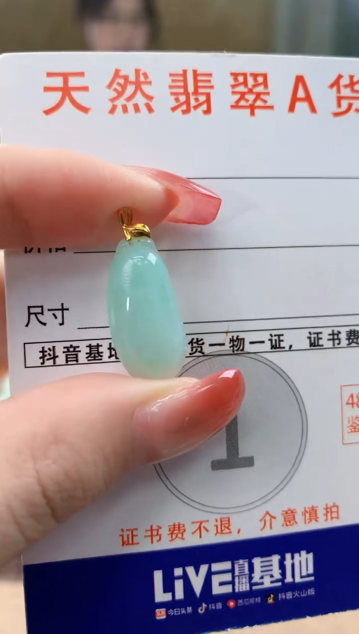 颈饰未镶嵌翡翠天然A货翡翠挂件