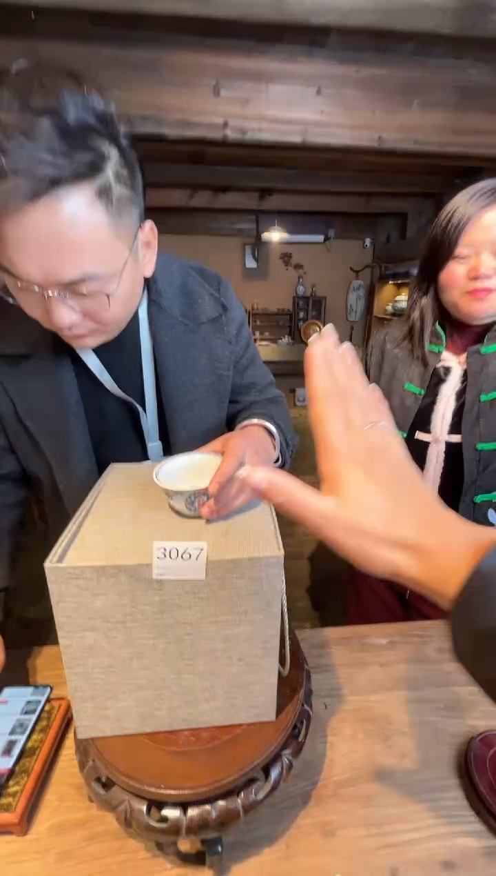 【闪购商品】瓶景德镇陶瓷梅花赏瓶3067