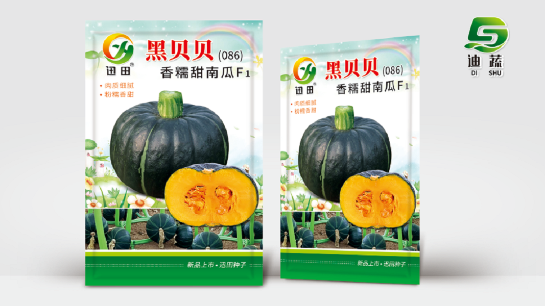 黑贝贝香糯甜南种子瓜贝贝南瓜香甜粉糯正宗板栗味新疆老瓜蔬菜