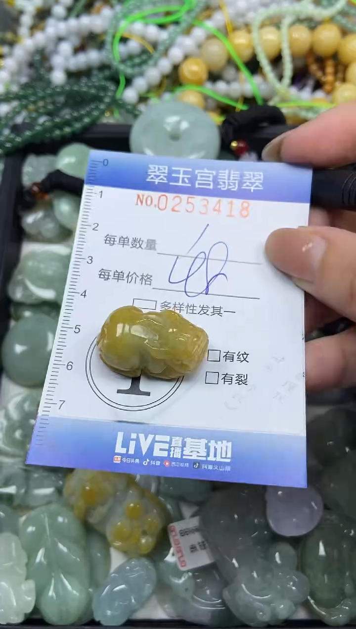 颈饰未镶嵌翡翠闪购C0253418