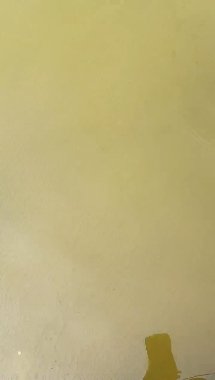 金鱼归**鹰水娃娃渔场兰寿观赏鱼 不包邮