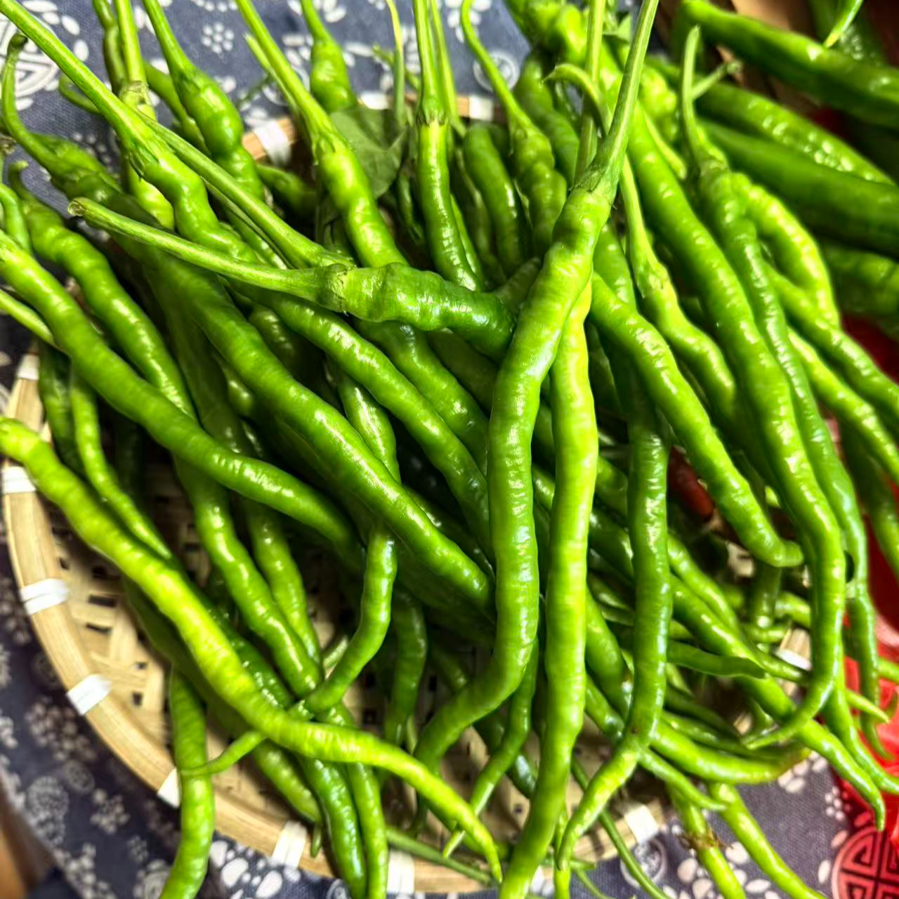 中辣鸡肠子青椒{湖南名椒}本地新鲜线椒鸡肠子青椒中辣偏辣