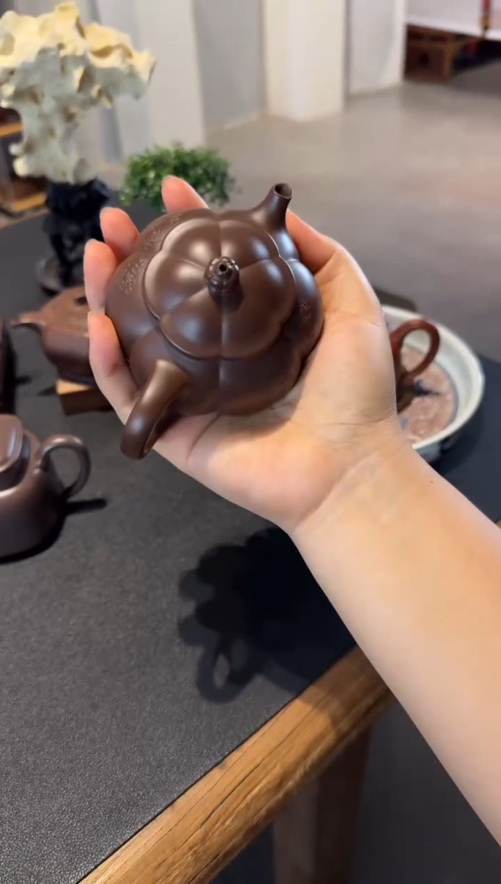 茶壶紫砂?****?大鱼海棠