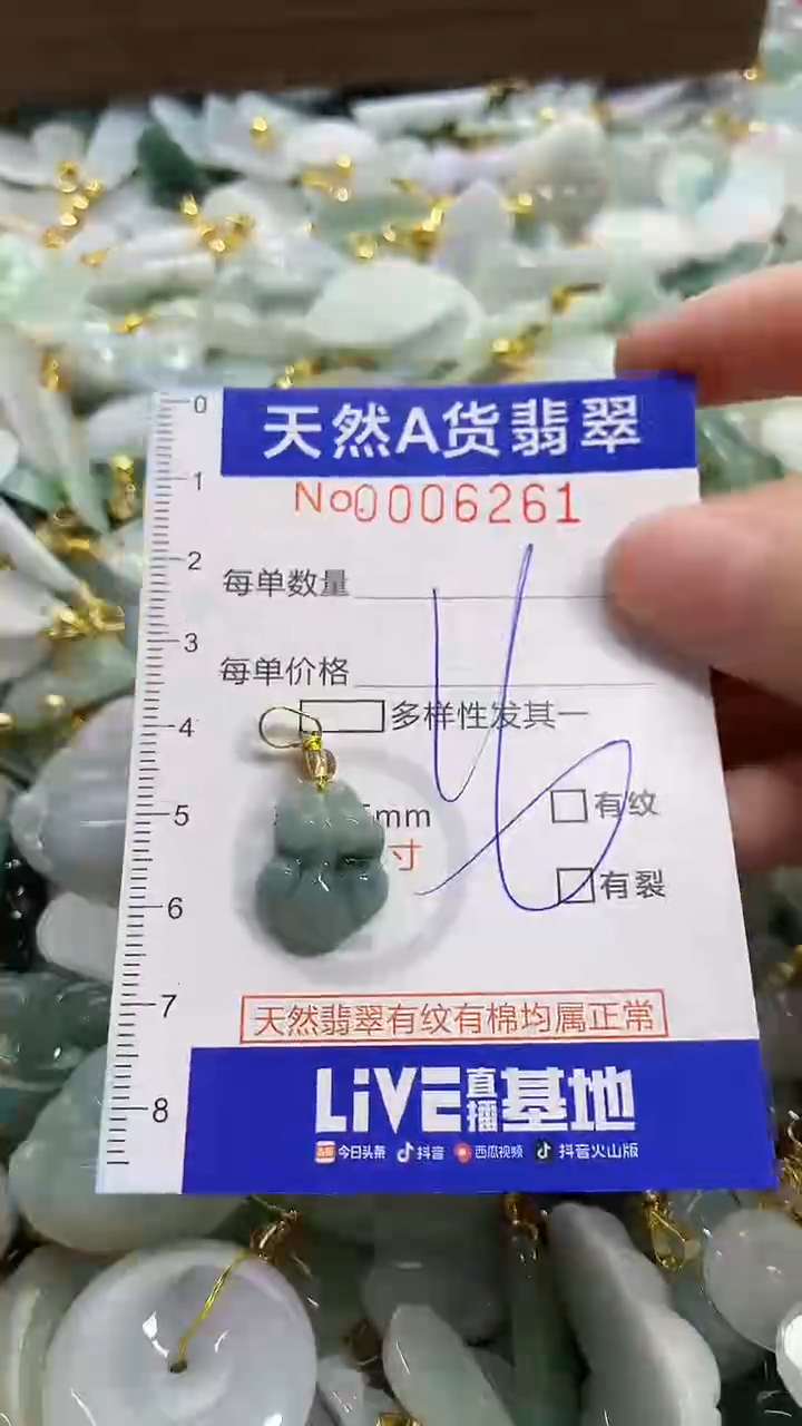 颈饰未镶嵌翡翠天然A货翡翠