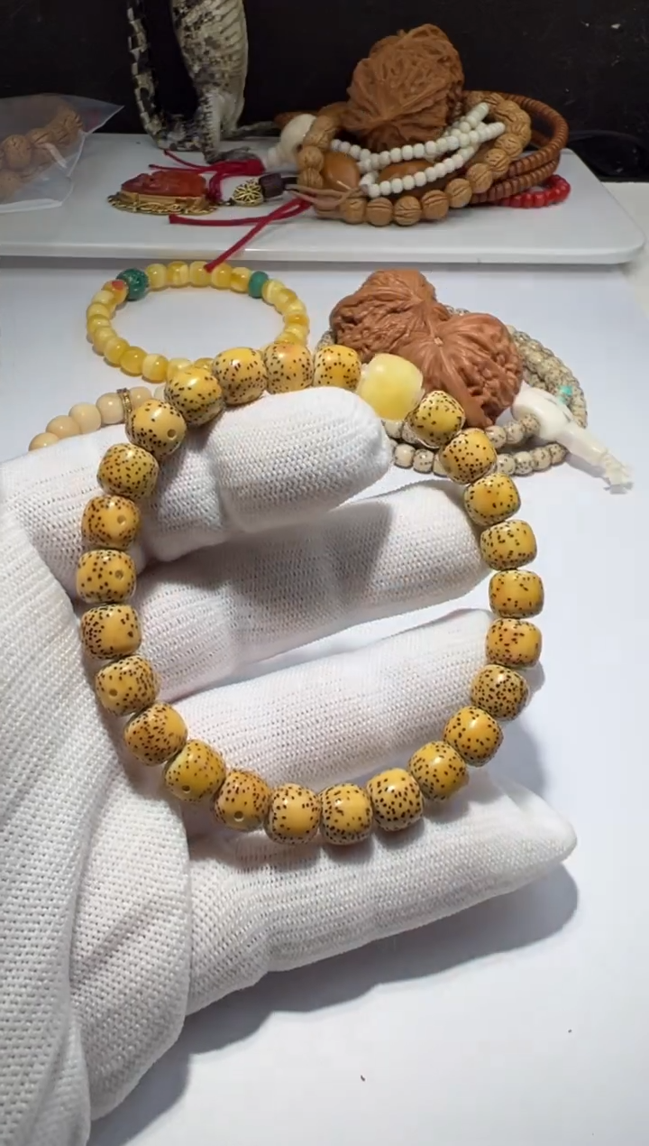 手串星月菩提星月菩提单圈手串