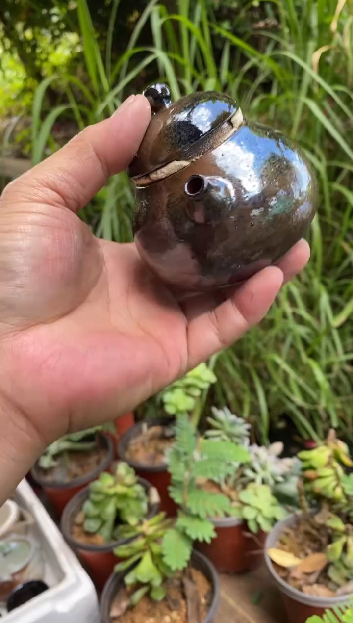 浪鬼柴烧阿*龙窑系列 壶 微瑕