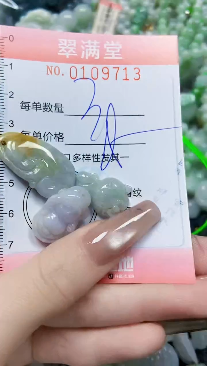 【闪购商品】翡翠颈饰未镶嵌闪购0109713
