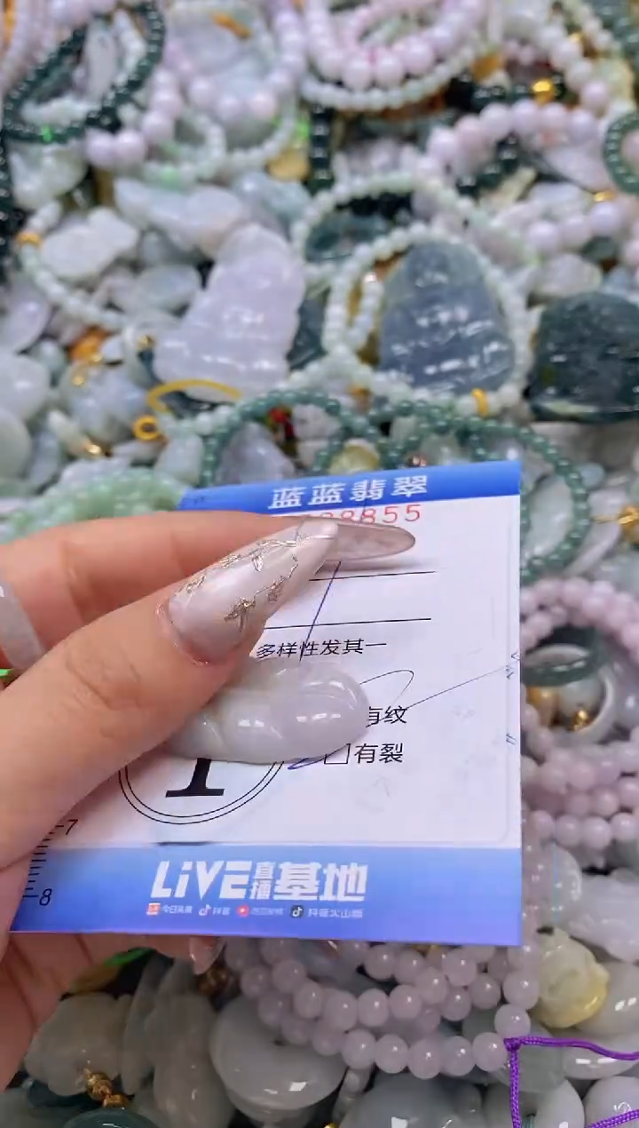 翡翠未镶嵌颈饰闪购0298855