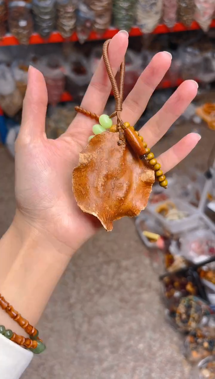 吊坠菩提根/象牙果11   11