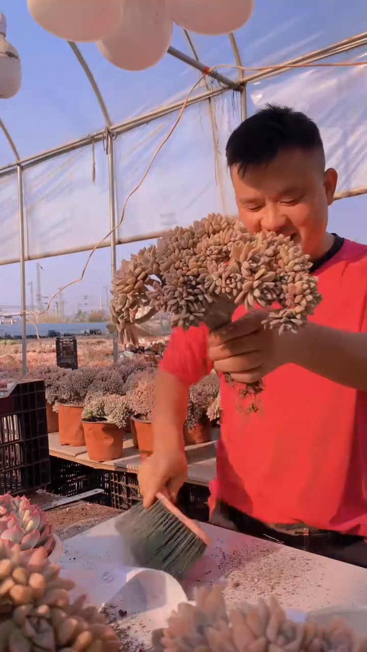 【闪购商品】缀化156