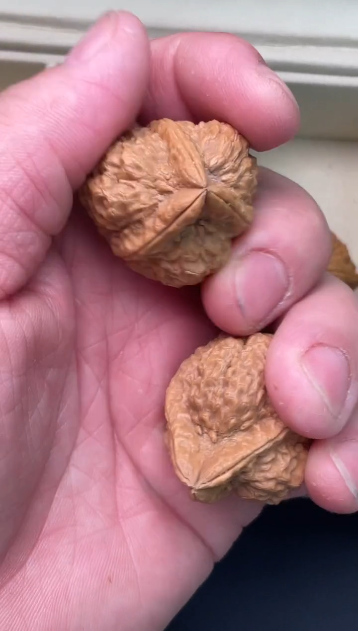 文玩核桃把件金蝉宝塔