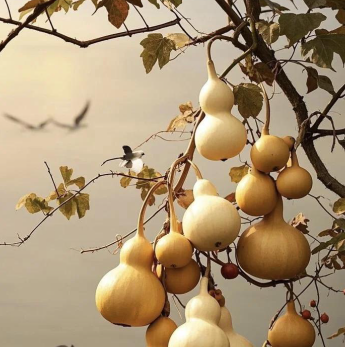 葫芦装饰品直播间专用2(以直播间看到为准）