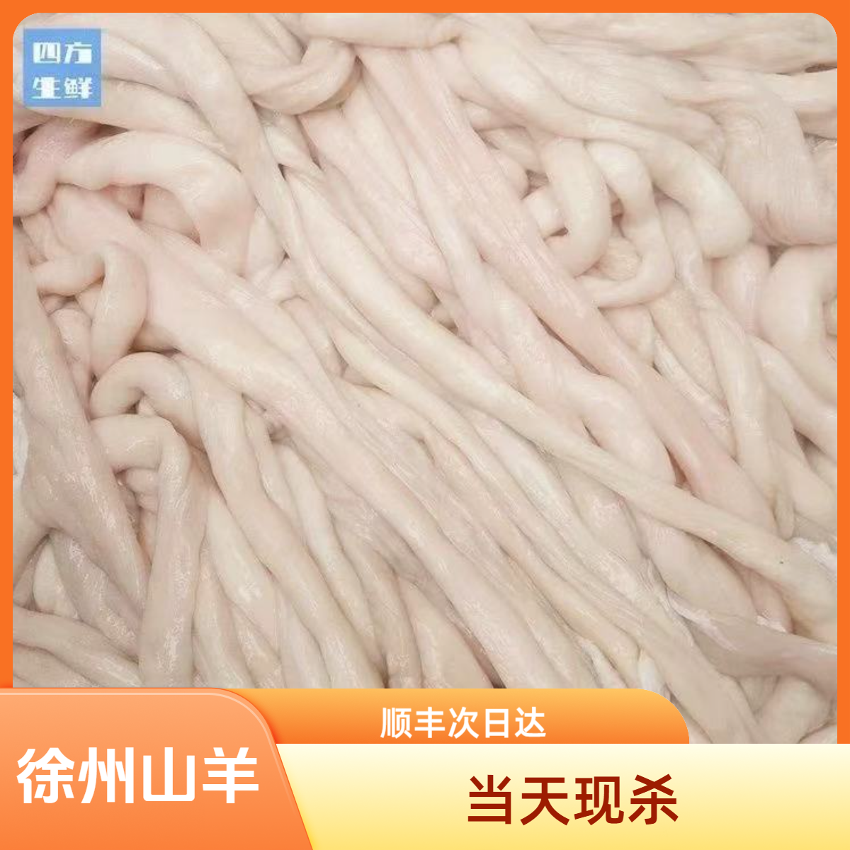 【羊杂套餐】心肝肺、羊肚、羊肠、顺丰次日达、g火锅食材羊杂同城配