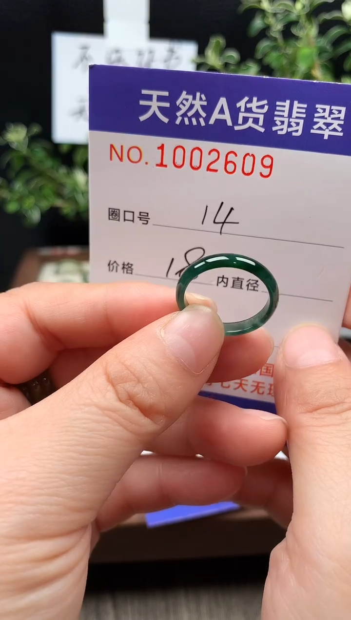 未镶嵌戒指翡翠14#