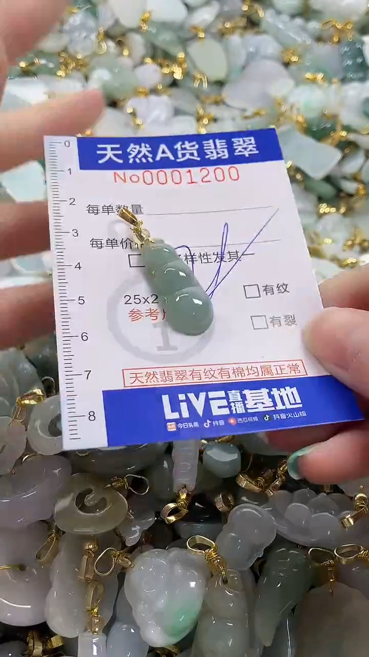 颈饰未镶嵌翡翠纯天然a货翡翠