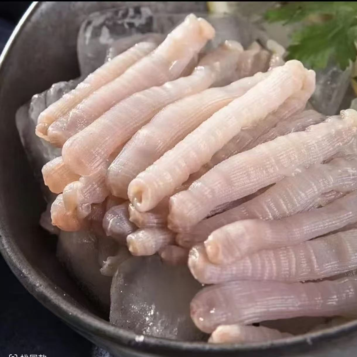 沙虫 鲜冻 次日达 顺丰快递 厦门发货 250g/盒