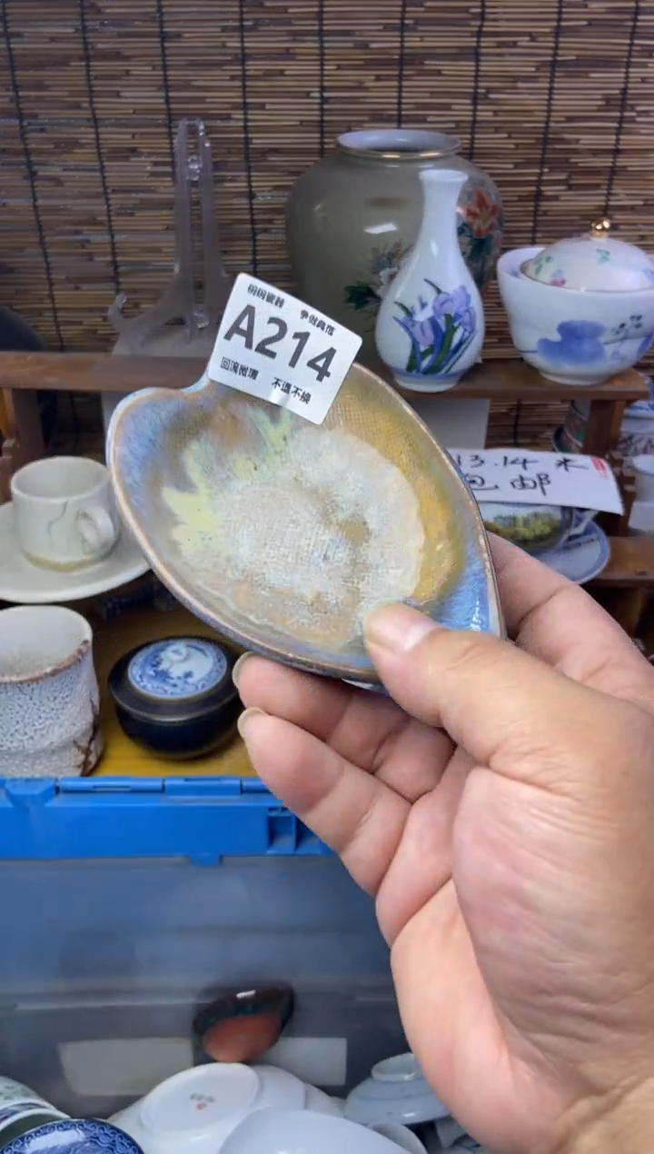 瓷片草*?214感谢支持13.14包邮