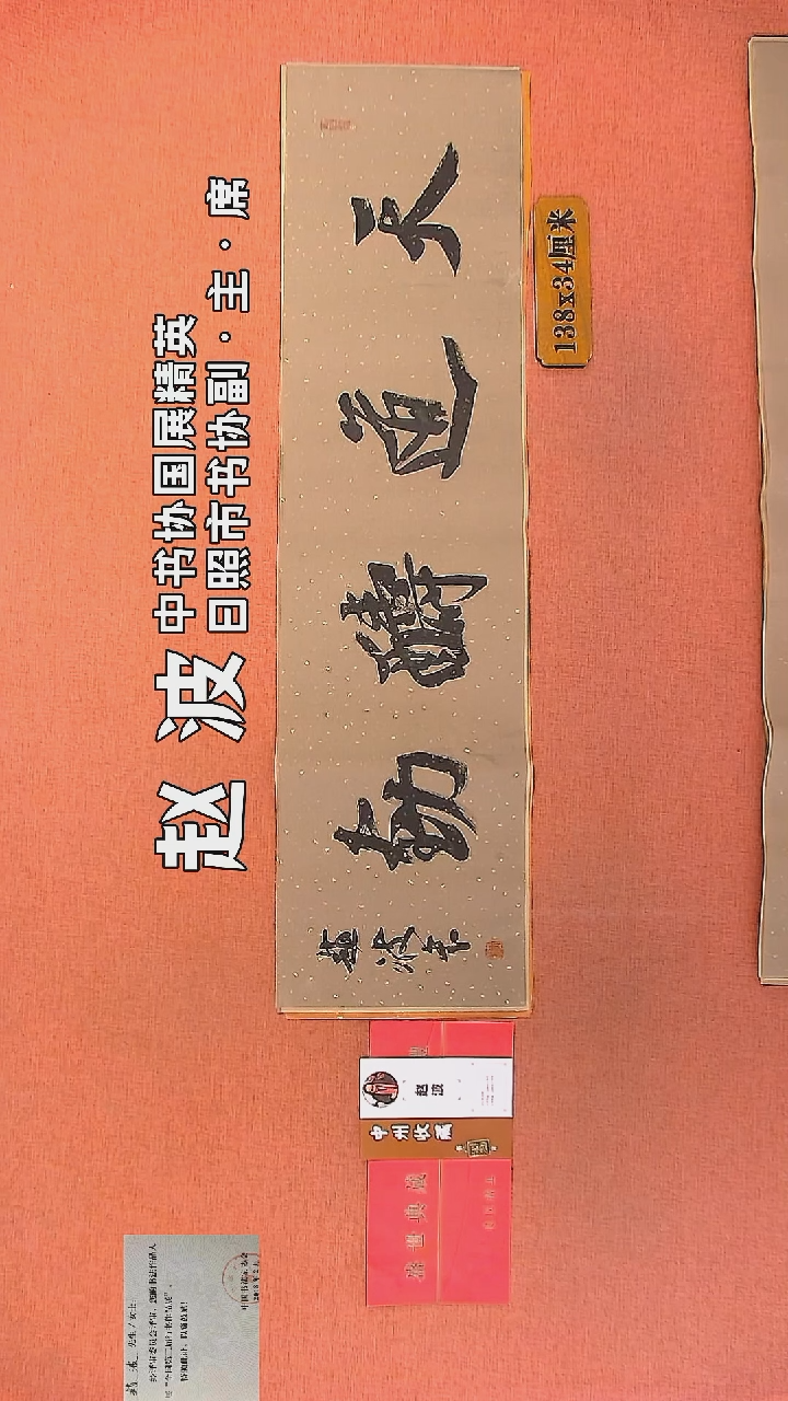 【闪购商品】书法256         赵波书法作品