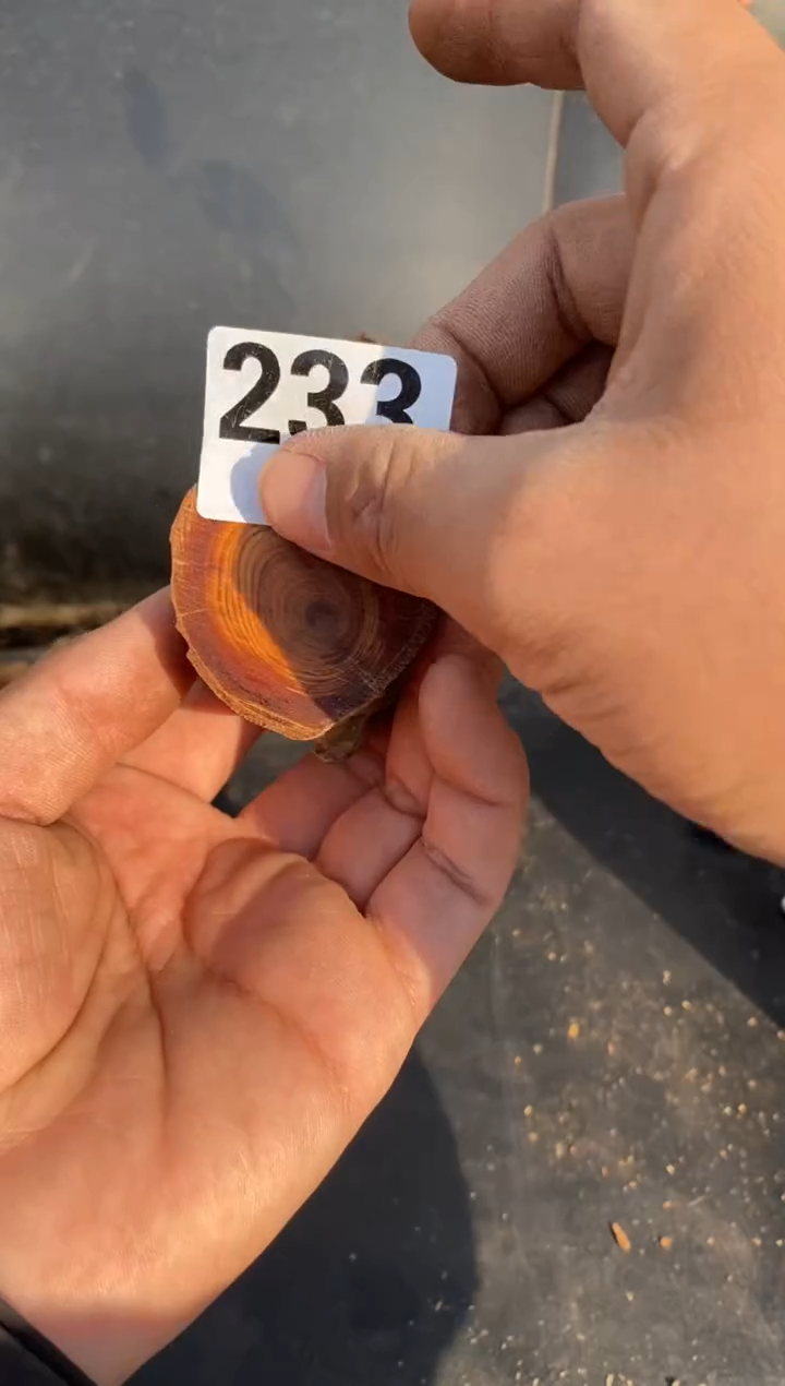 柏木（崖柏）太行陈化崖柏切片！随机（1单1片）233
