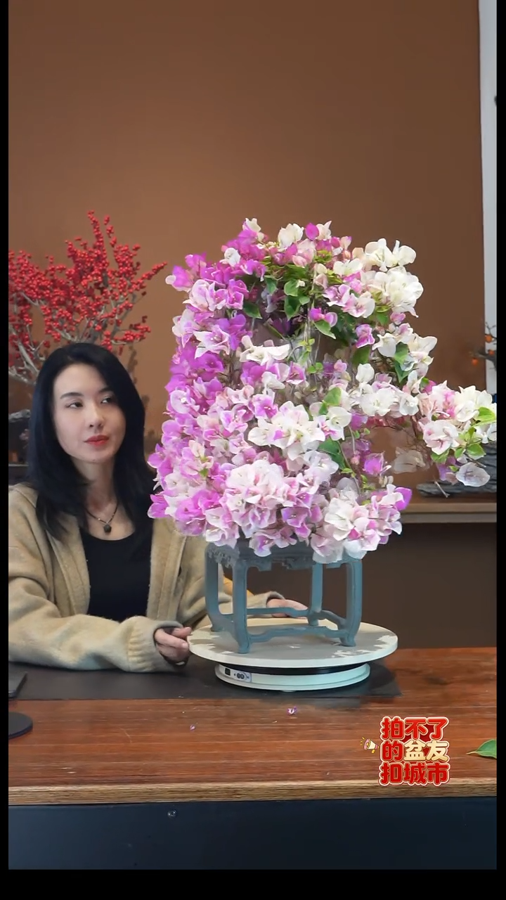 全部花朵花蝴蝶盆景盆景