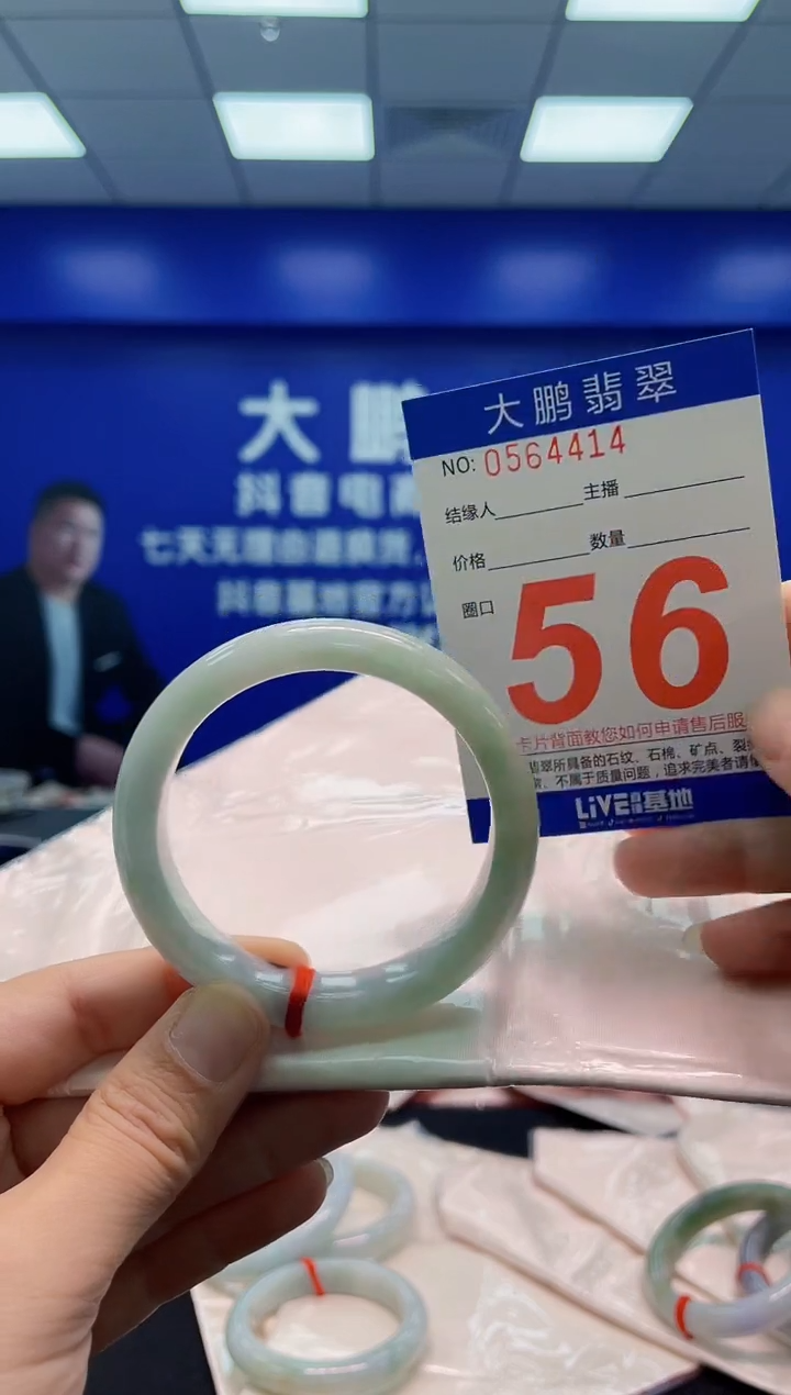 未镶嵌手镯翡翠AAAAAAAAA