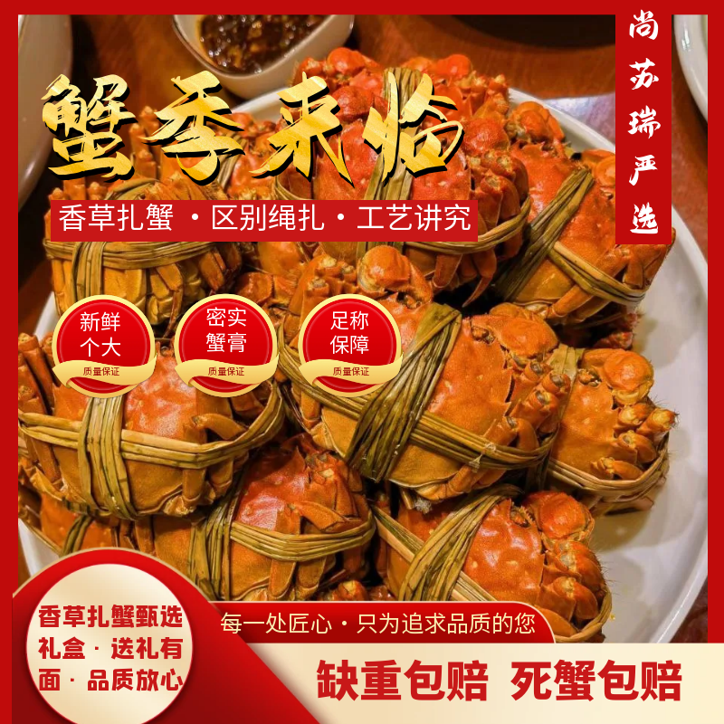 【活蟹现发】江苏大闸蟹全母2.8-2.5两10只礼盒装顺丰包邮当日发