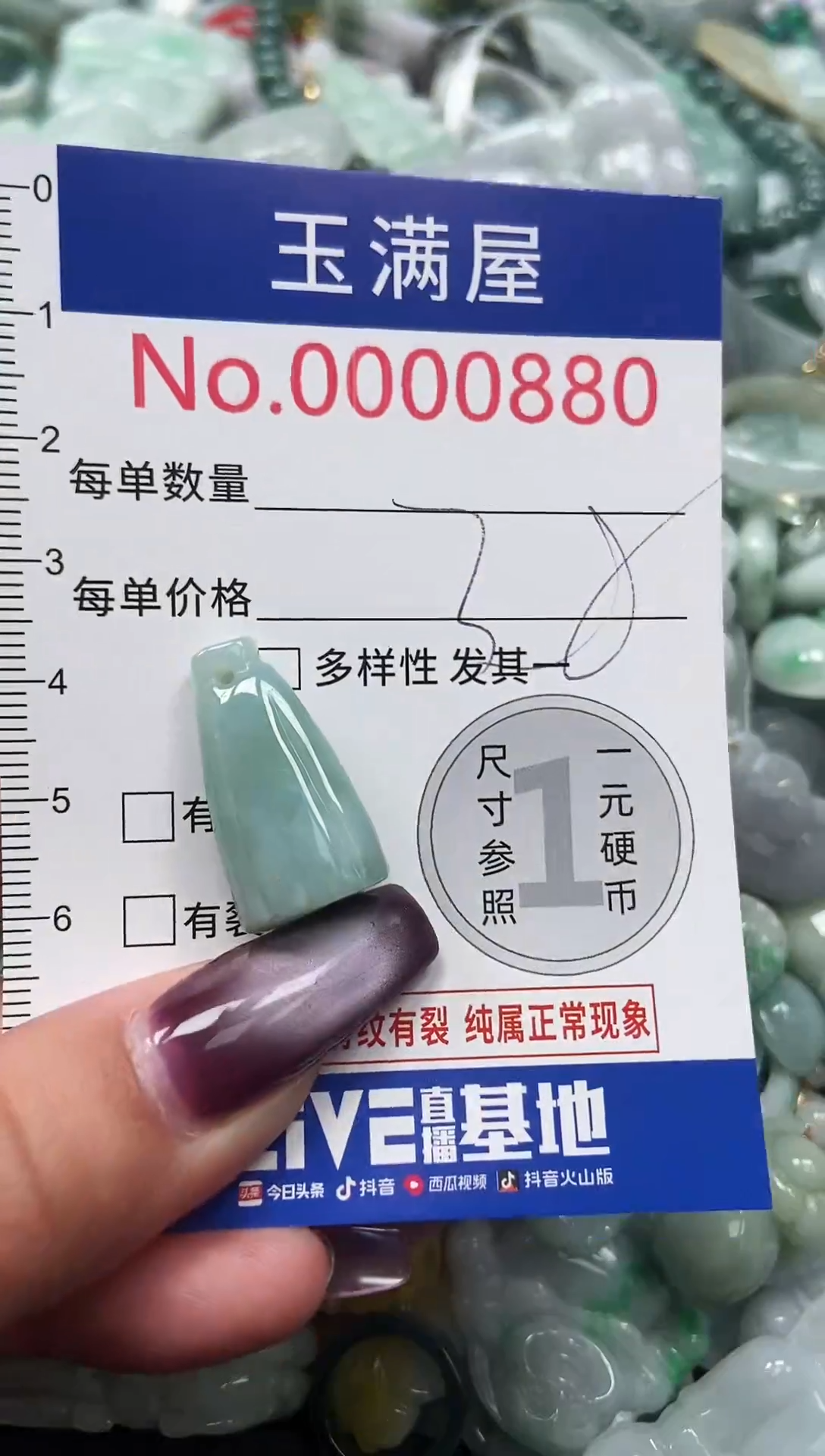 颈饰未镶嵌翡翠880