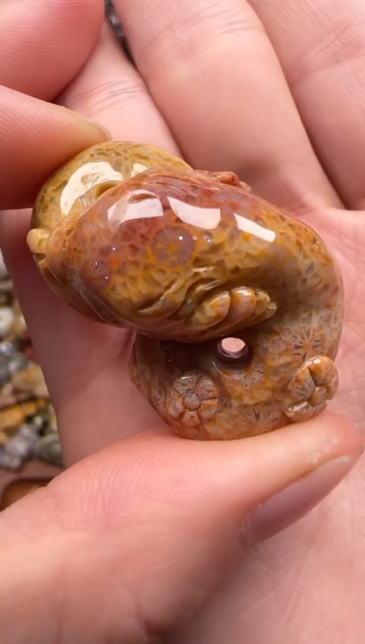 【闪购商品】硅化珊瑚（珊瑚玉）颈饰未镶嵌669