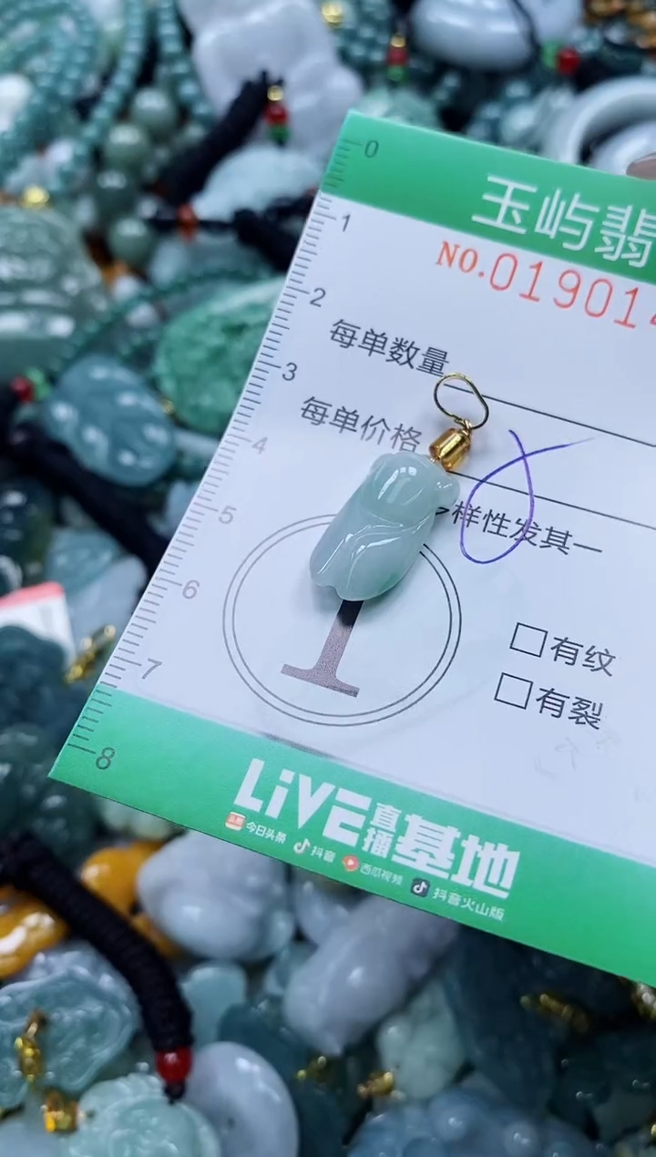 翡翠未镶嵌颈饰闪购0190144