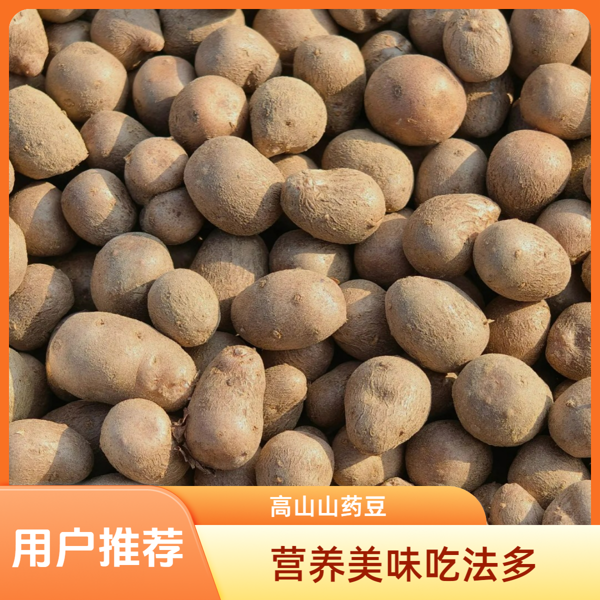 高山山药豆，炖炒炸都可以的特色小美食