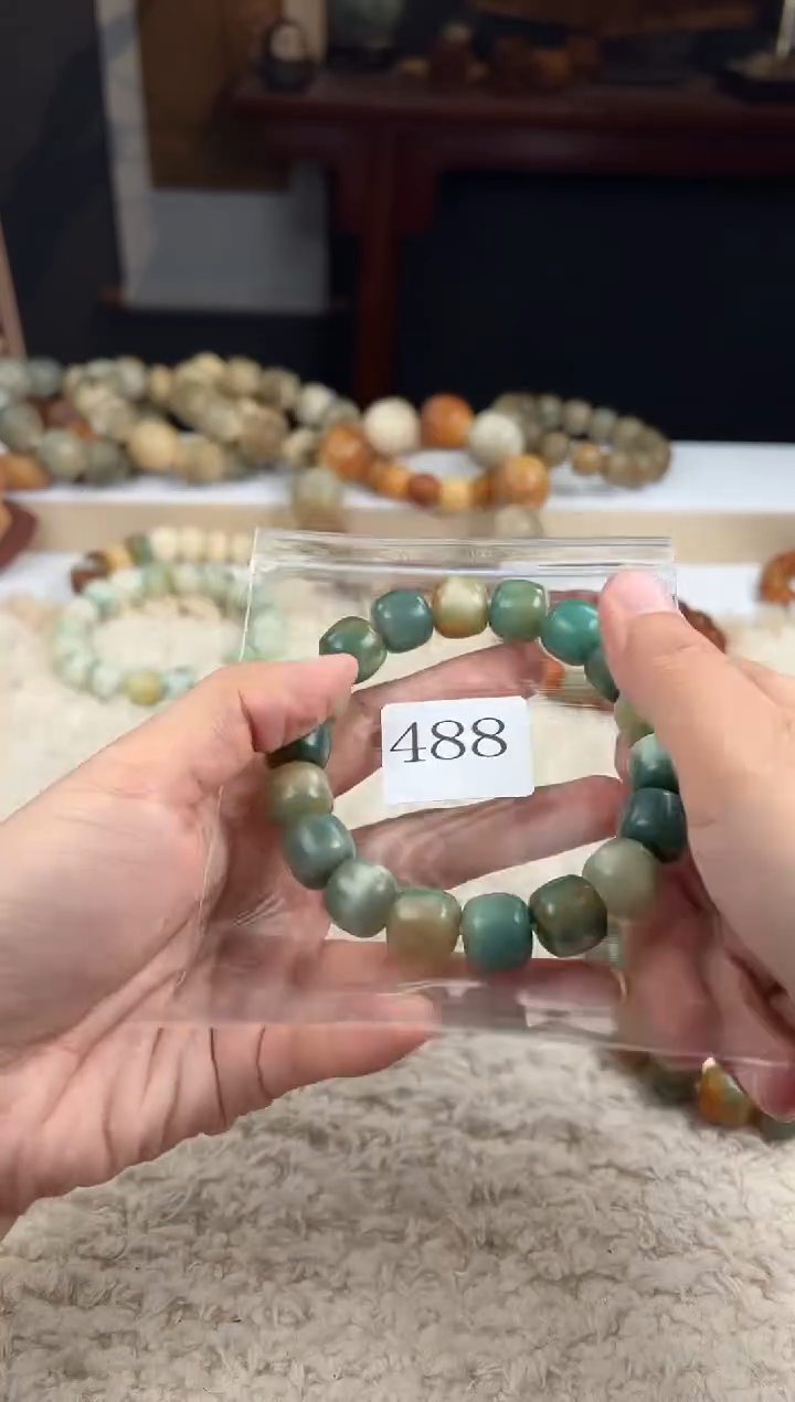 【闪购商品】菩提根/象牙果手串14糖壳（488）