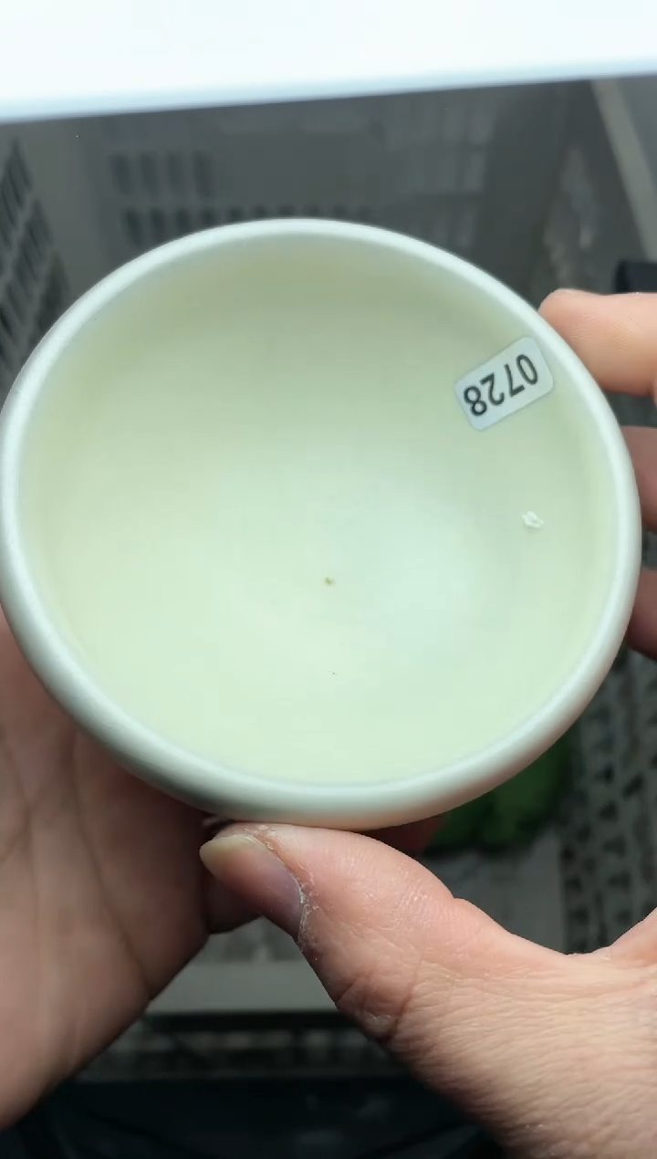 【闪购商品】茶盏微瑕在介意勿拍728