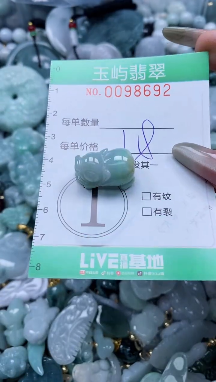 【闪购商品】翡翠未镶嵌颈饰闪购0098692
