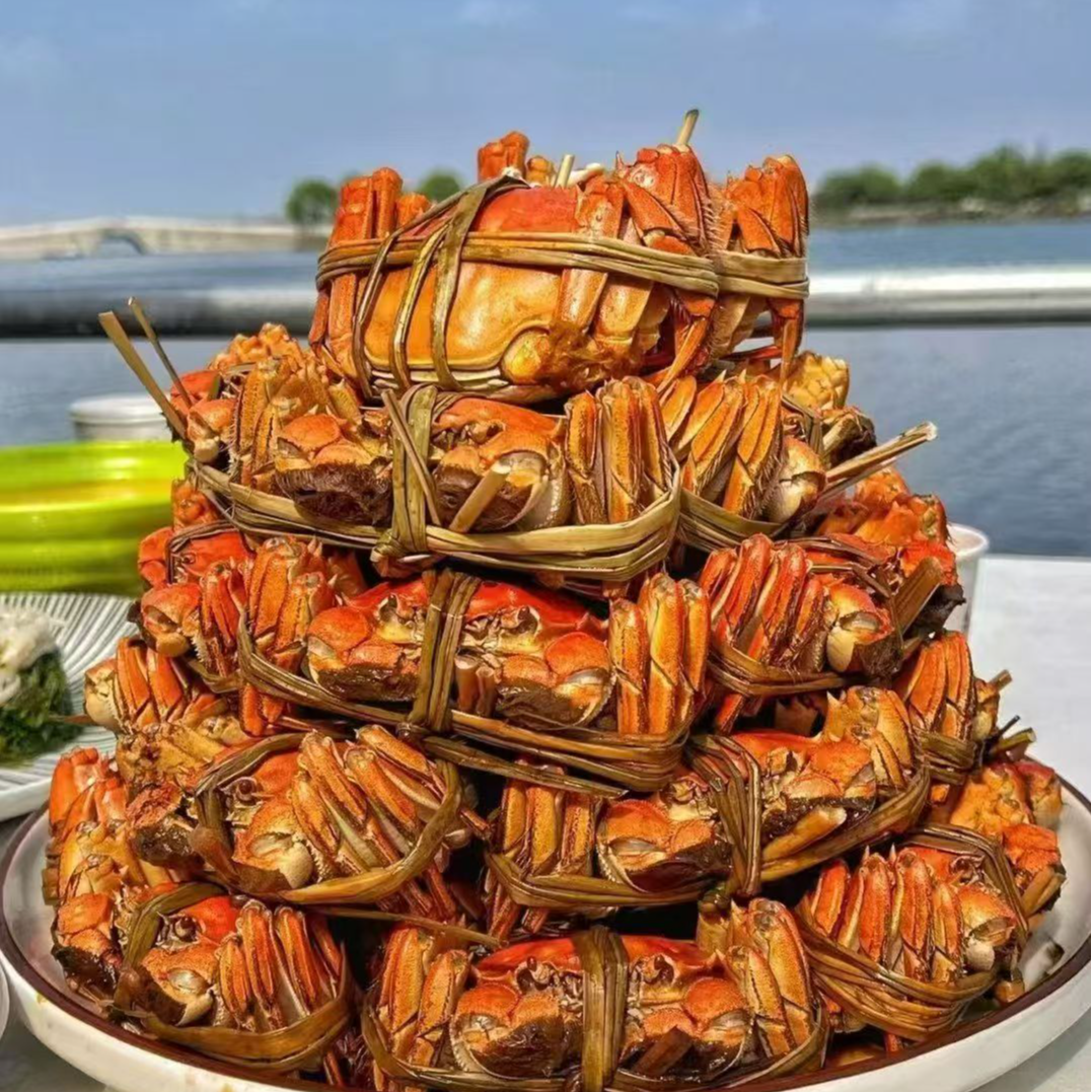 [活蟹]江苏太湖大闸蟹2两母蟹10/15只