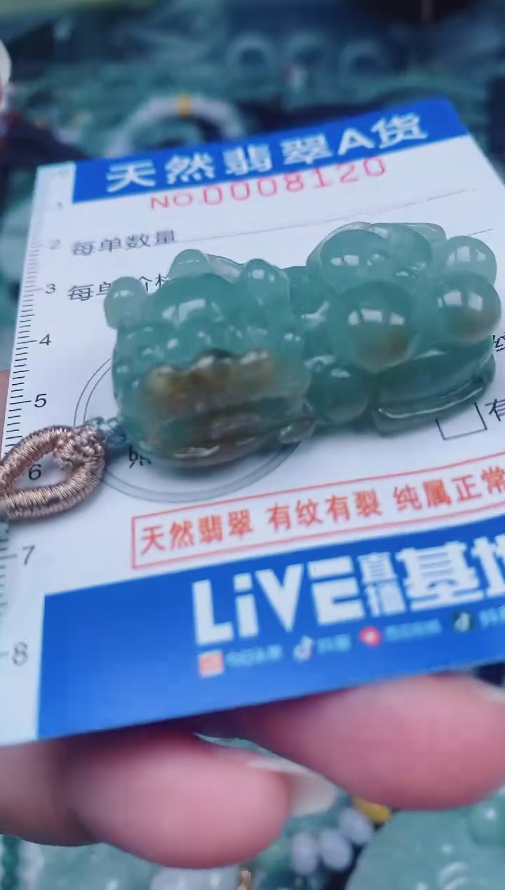 颈饰未镶嵌翡翠00008120