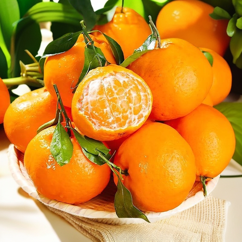 ZB2【彩箱】正宗四川春见耙耙柑橘子桔现摘现发高山种植自然成熟