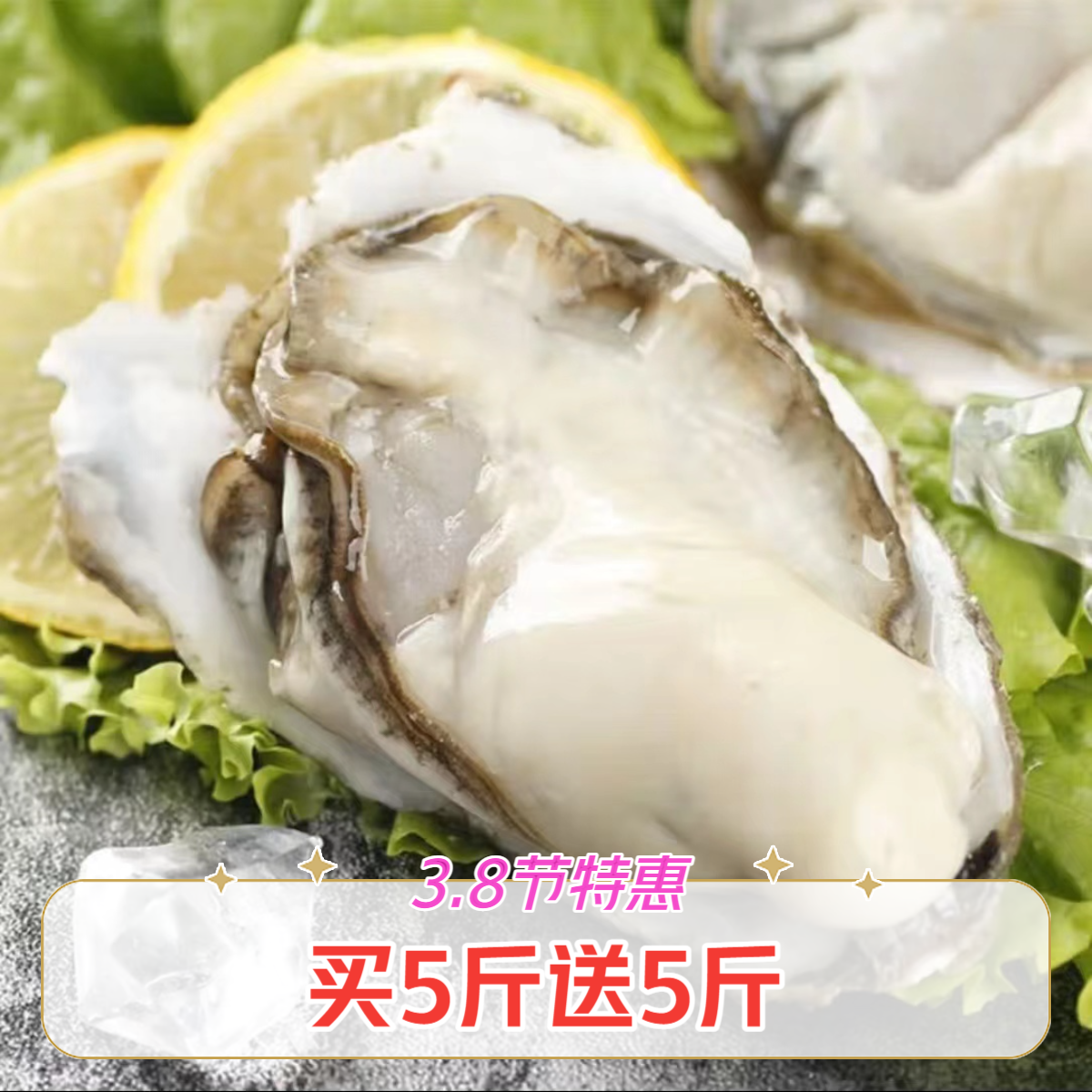 【3.8节特惠】新鲜乳山生蚝 买5斤送5斤 整只带壳