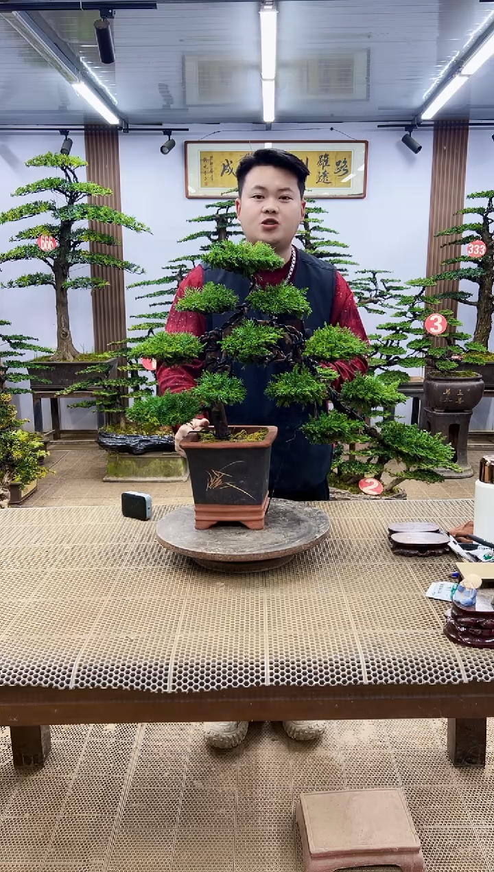 【闪购商品】00000000