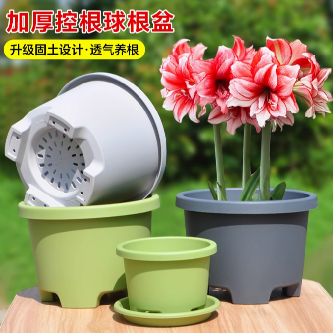加厚树脂花盆透气矮款球根盆郁金香朱顶红百合栽铃兰专用种球花盆