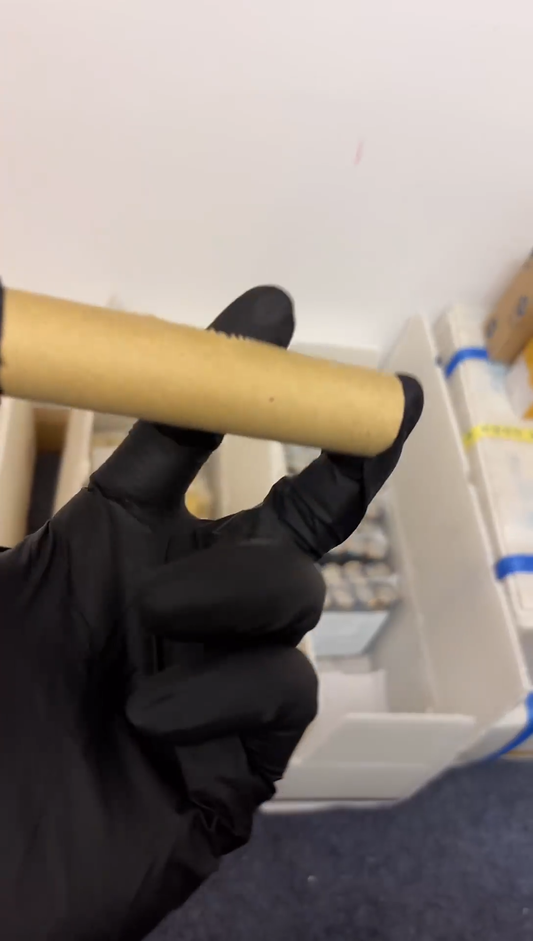 整卷 法定货币原光原卷原厂封装 11 05