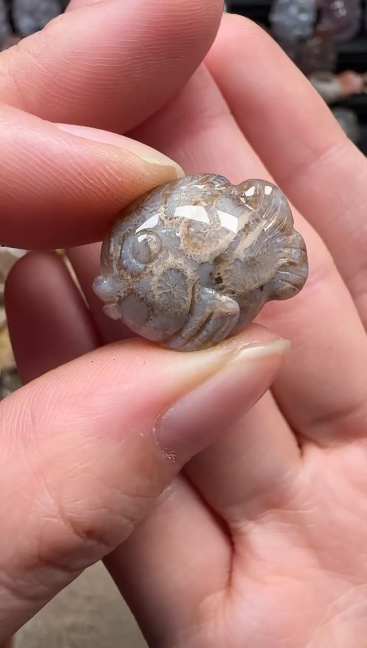 颈饰未镶嵌硅化珊瑚（珊瑚玉）100