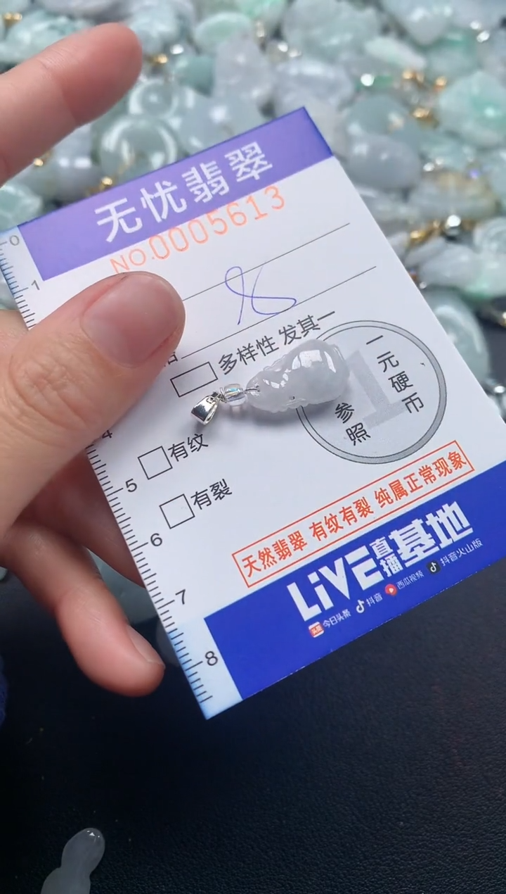 颈饰未镶嵌翡翠5613