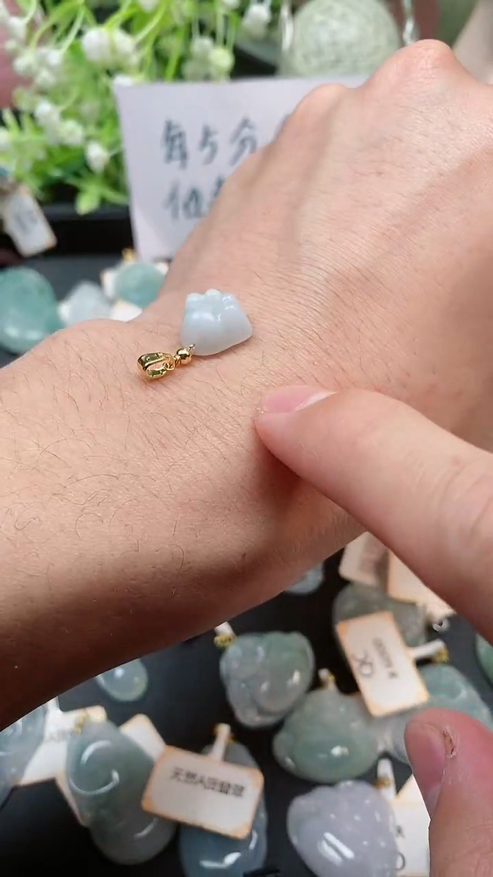 【闪购商品】翡翠颈饰未镶嵌天然A货翡翠一件