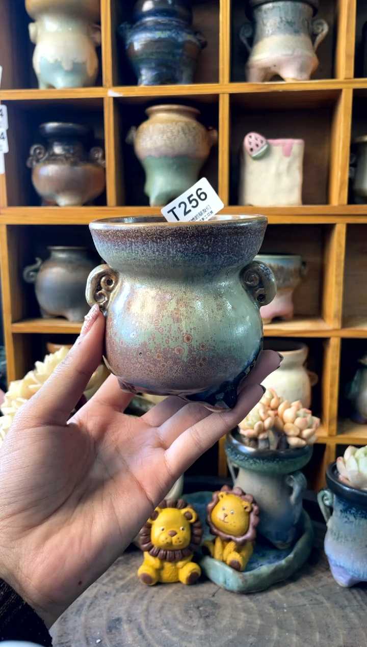 256内口7【多肉花盆多肉盆】1