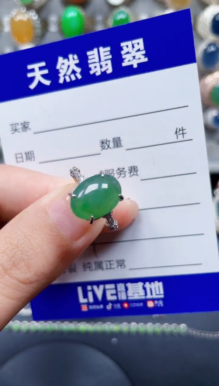 颈饰银S925镶嵌翡翠337