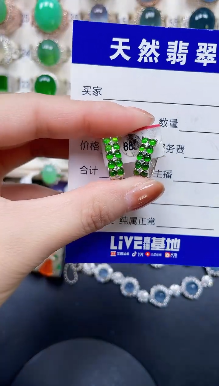 银S925镶嵌翡翠耳饰319