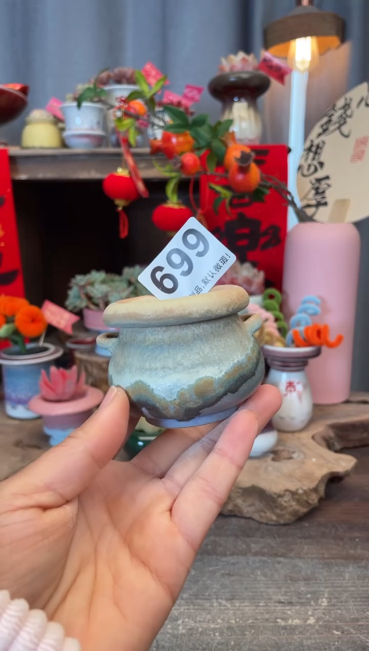 【闪购商品】摆件699知木小芳花盆