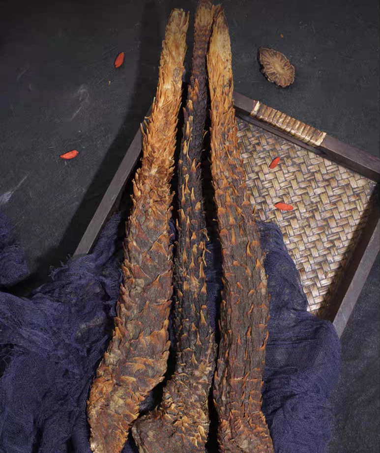 【阿满严选】野生芮苁蓉中药材正特级芮苁蓉干泡茶水非枸杞