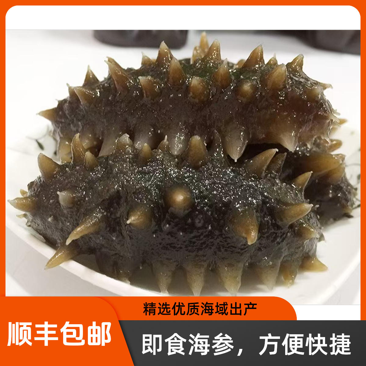15-18头/斤大连即食海参Q弹  深海即食海参源头工厂发货顺丰包邮