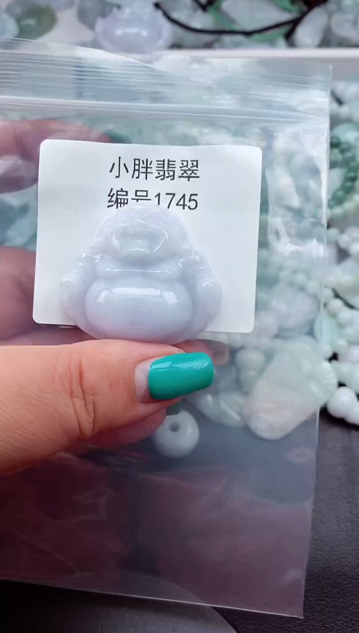 颈饰未镶嵌翡翠缅甸天然A货翡翠1745